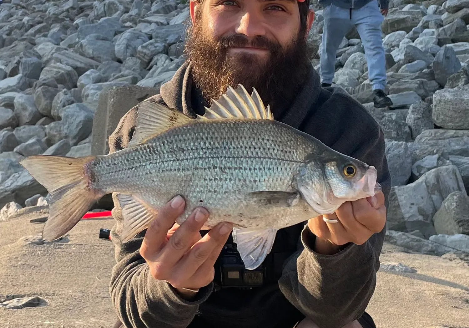 White bass