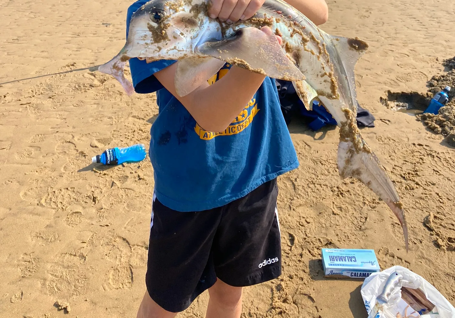 Cape elephantfish