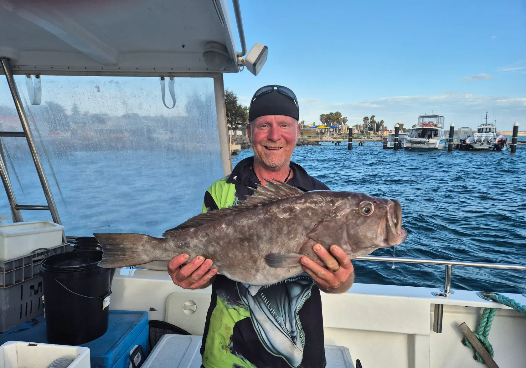 White-blotched grouper