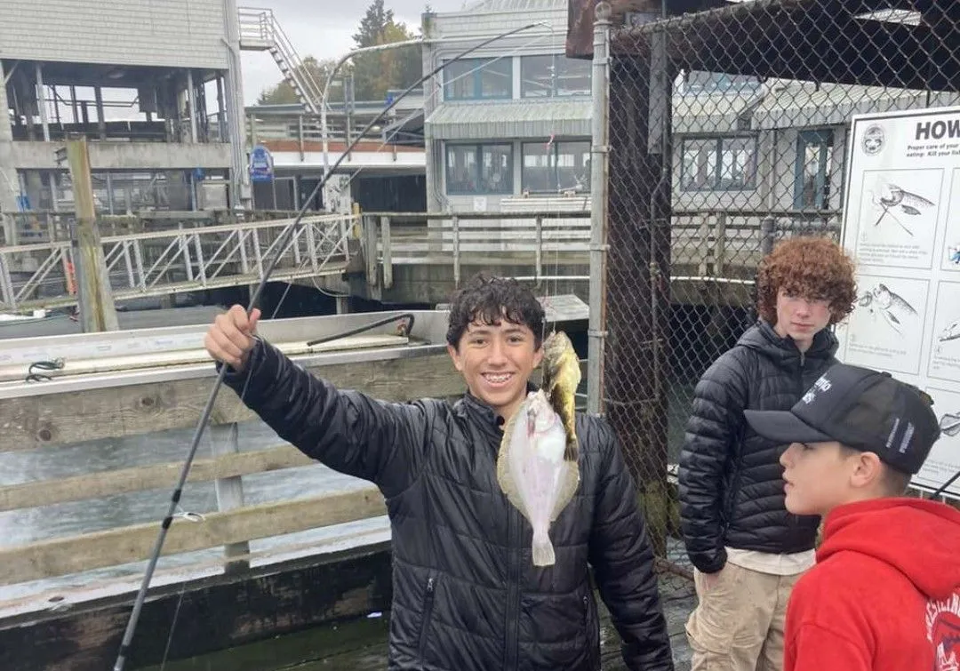 Pacific sanddab