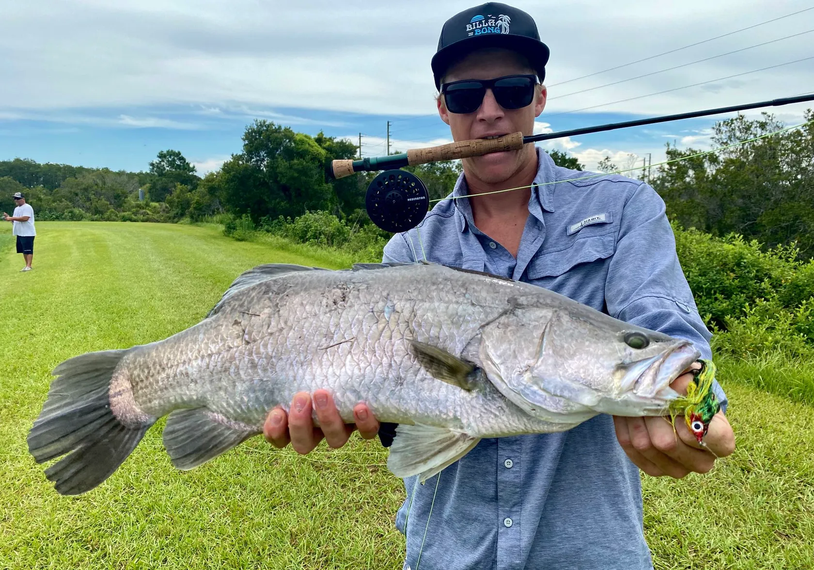 Barramundi