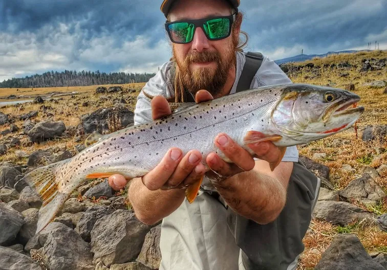 Bonneville cutthroat trout