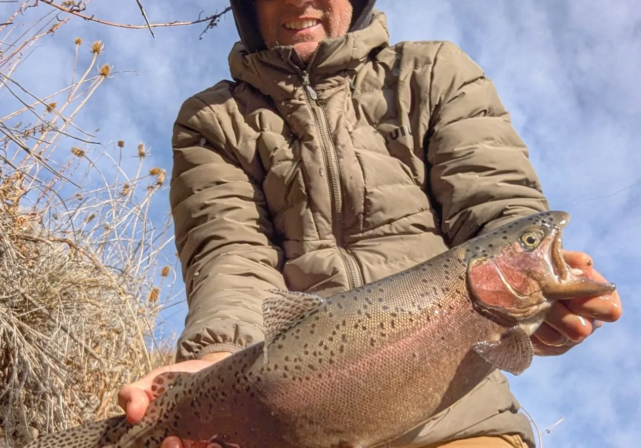 Great basin redband trout