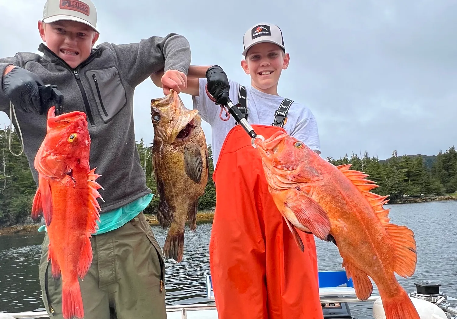 Yelloweye rockfish