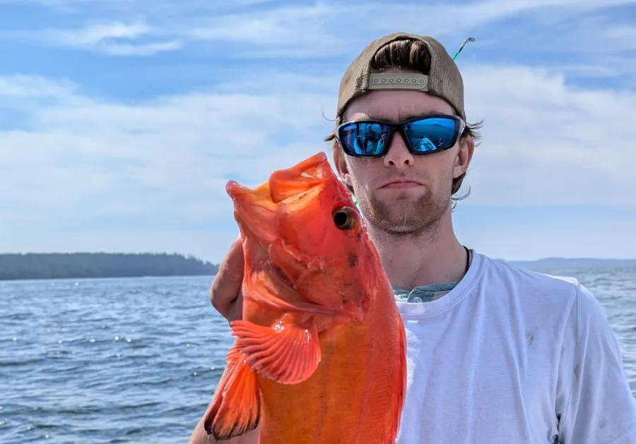 Yelloweye rockfish