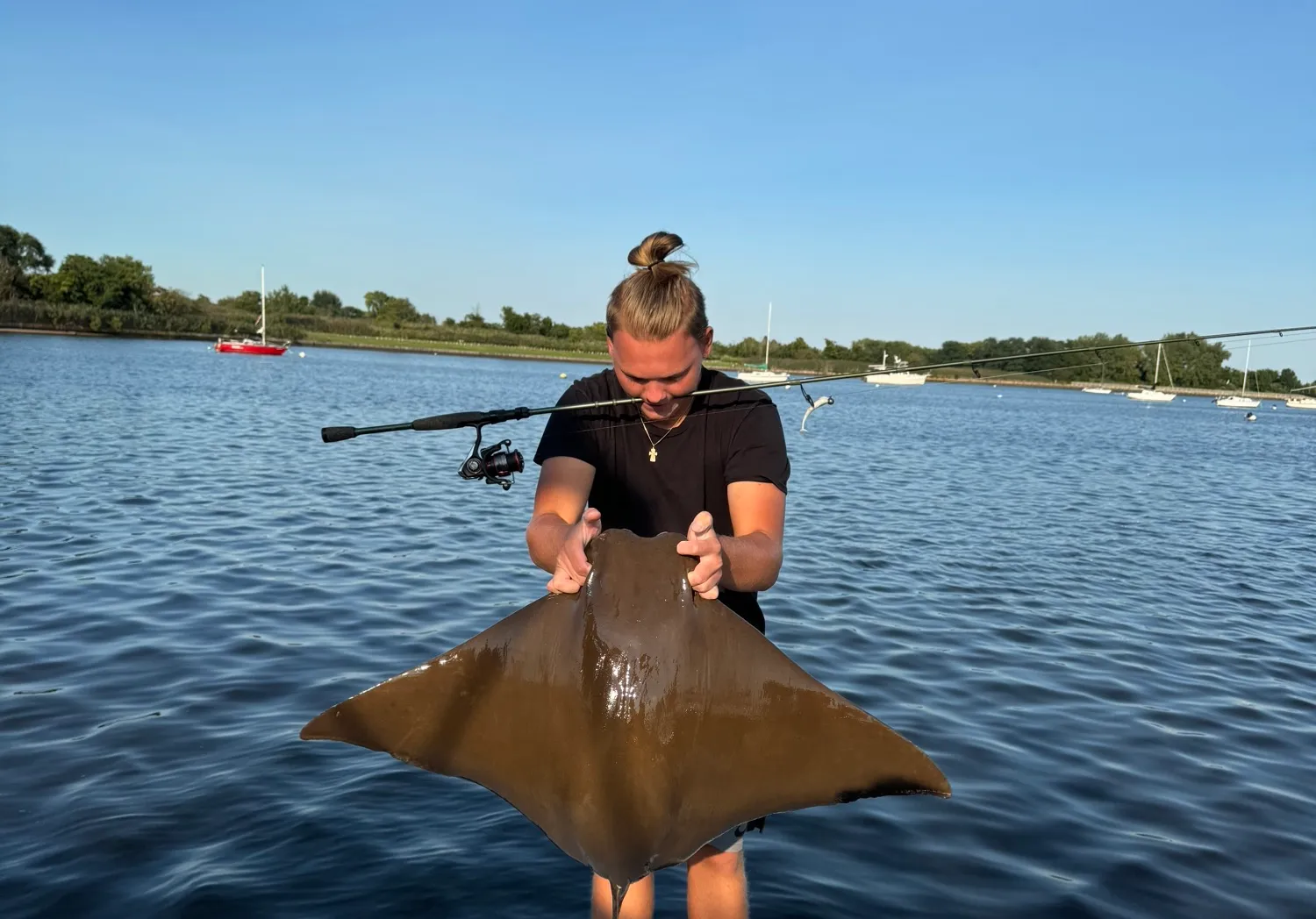 Flapnose ray