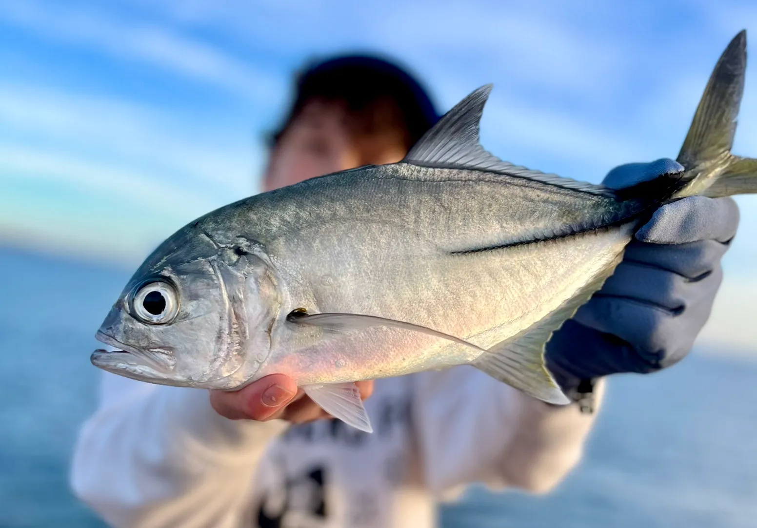 Pacific crevalle jack