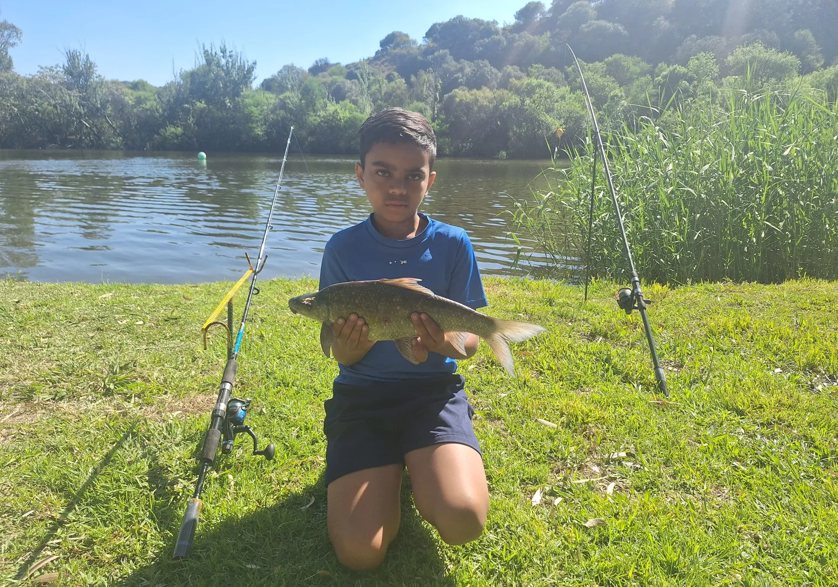 Orange river mudfish