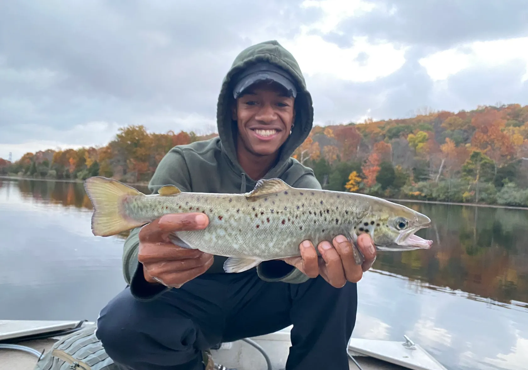 Landlocked atlantic salmon