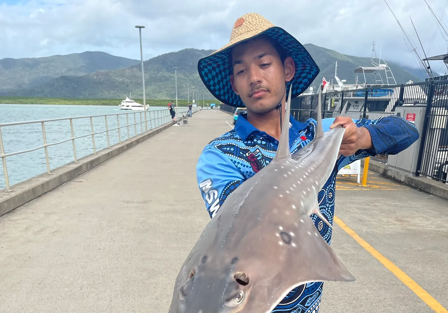 Giant guitarfish