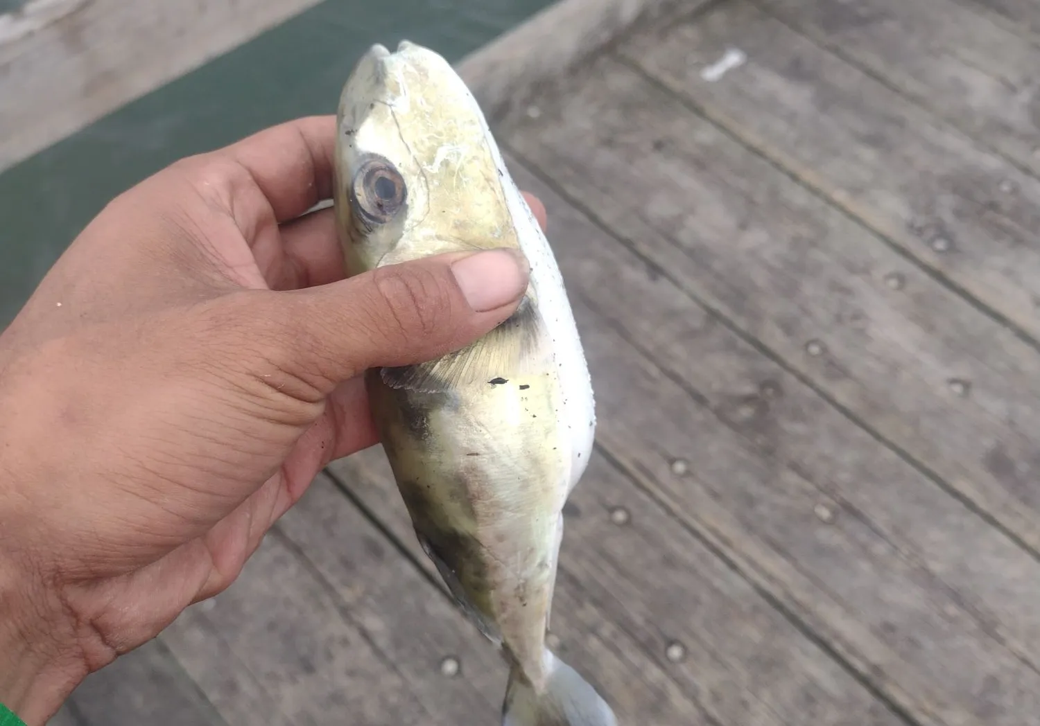 Smooth puffer