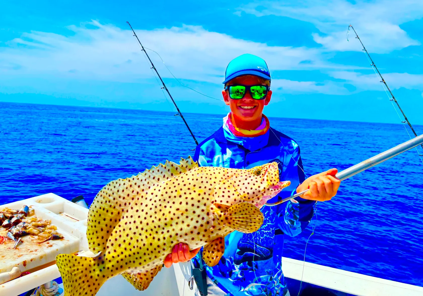 Humpback grouper