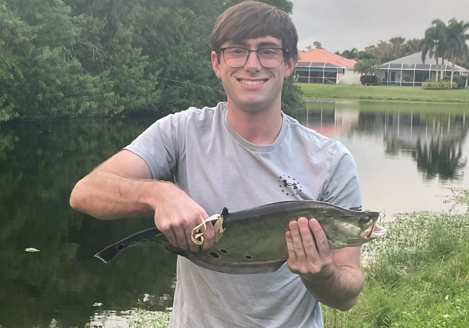 Clown knifefish