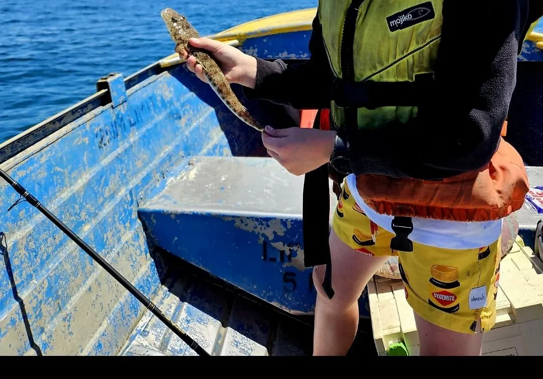 Blue-spotted flathead