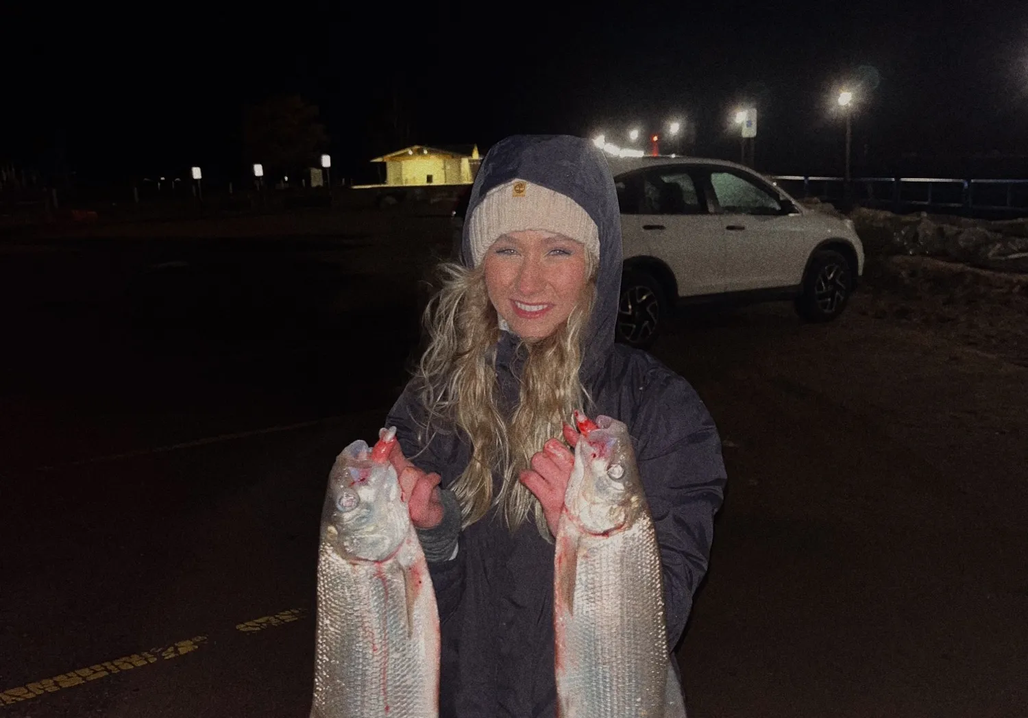 Lake whitefish