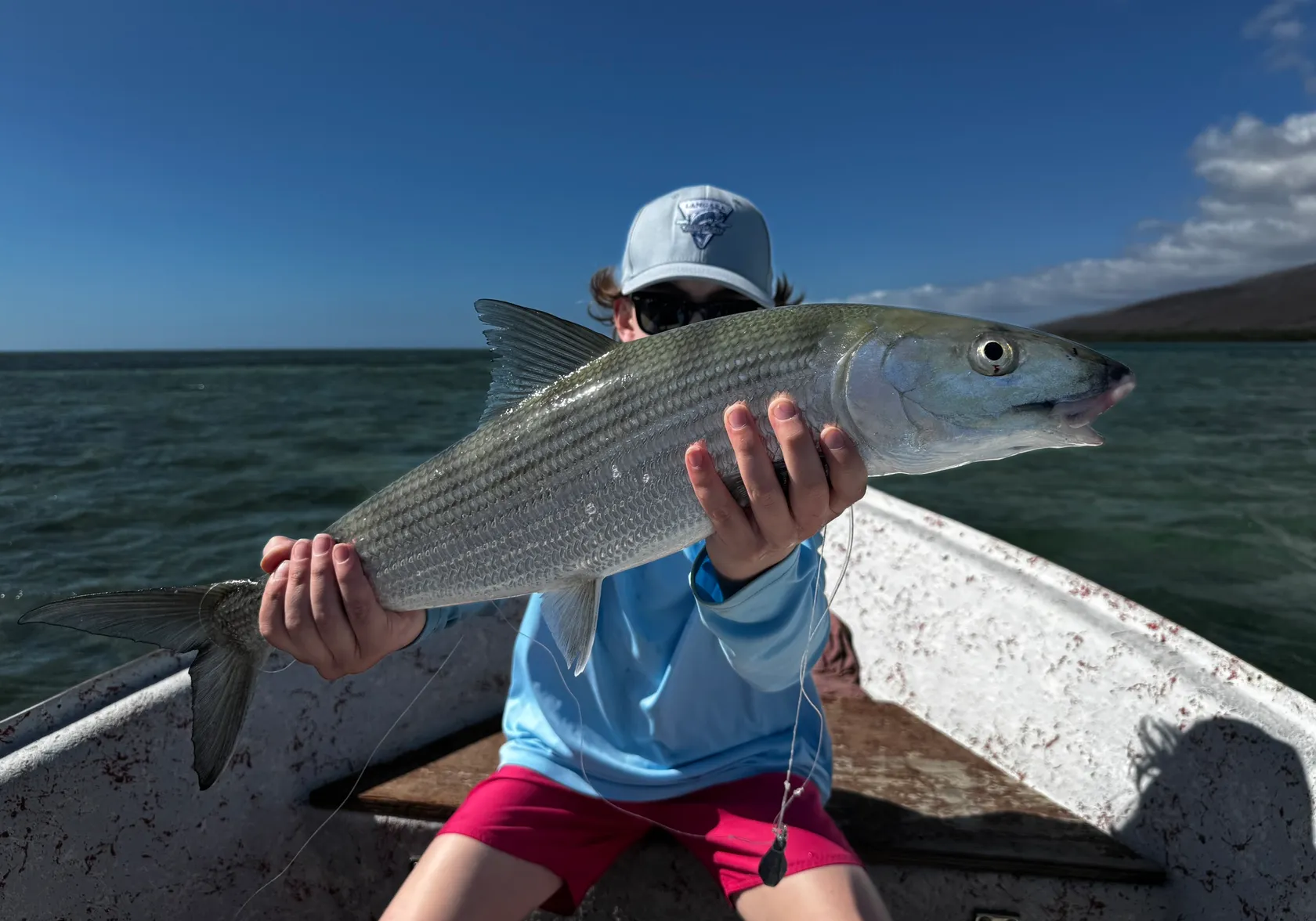 Pacific shafted bonefish