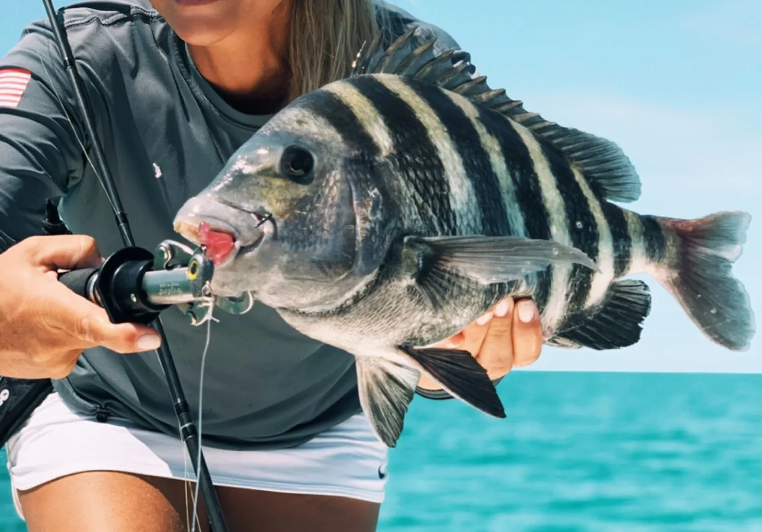 Sheepshead