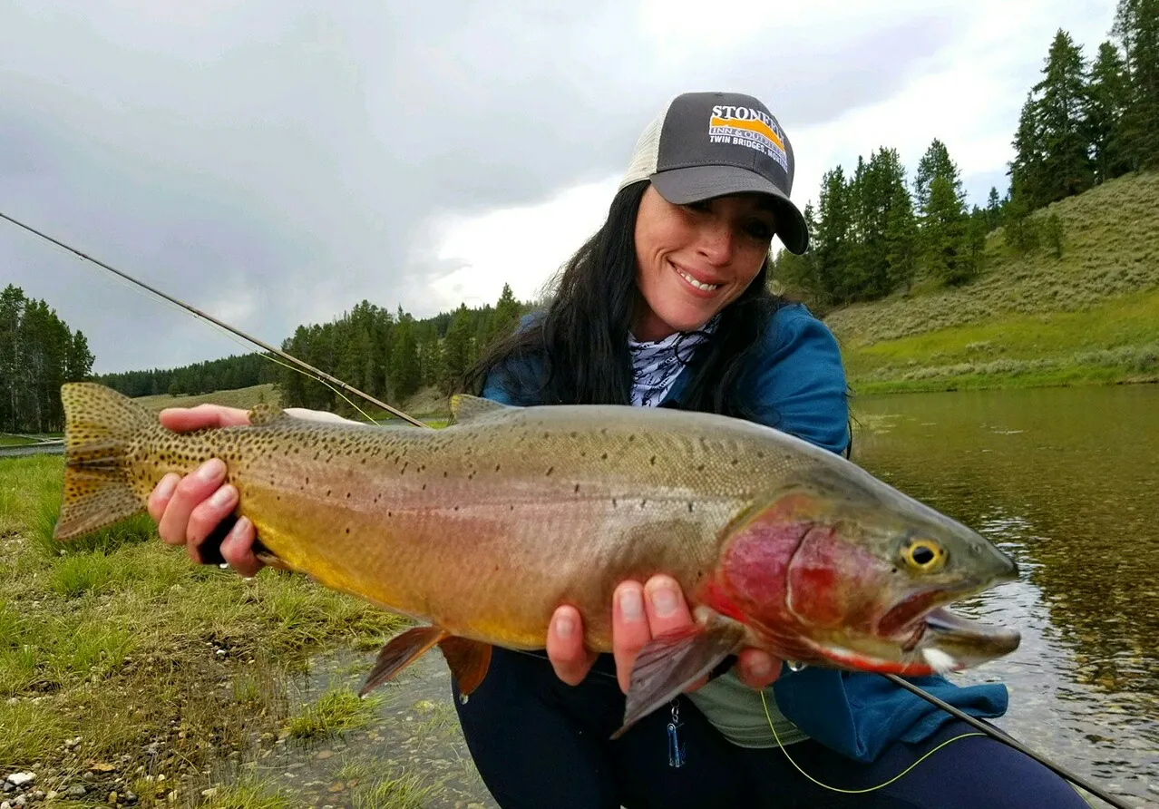 Cutthroat trout