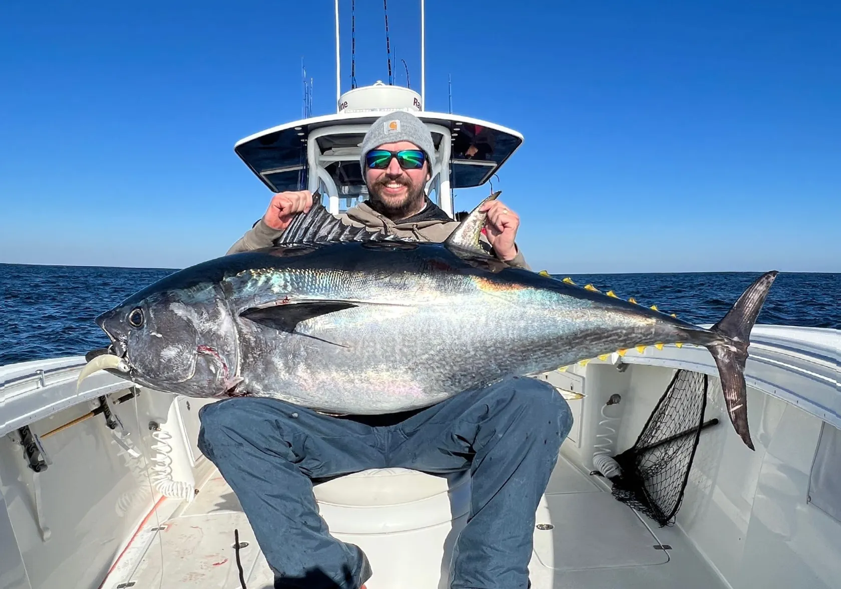 Atlantic bluefin tuna