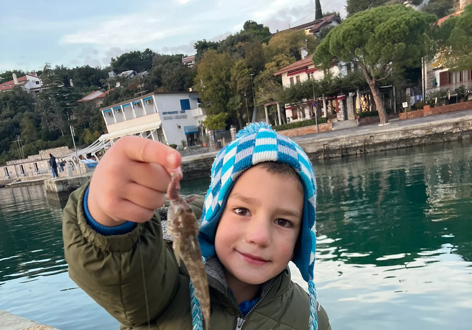 Giant goby