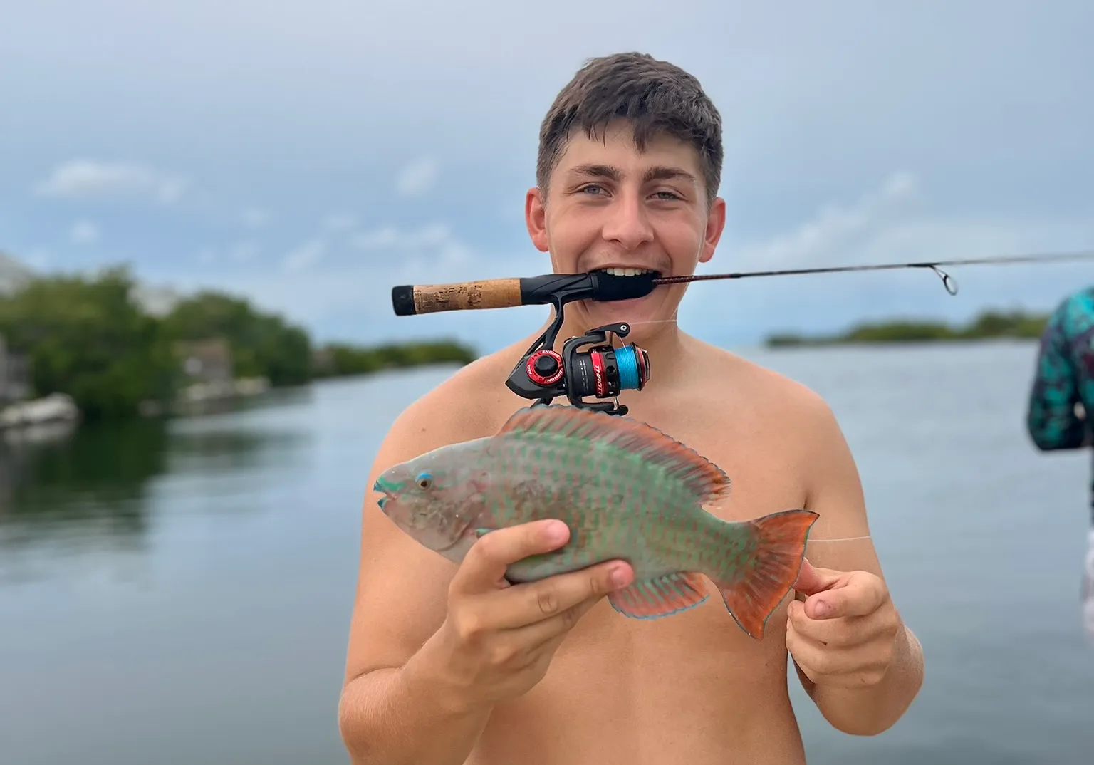 Common parrotfish