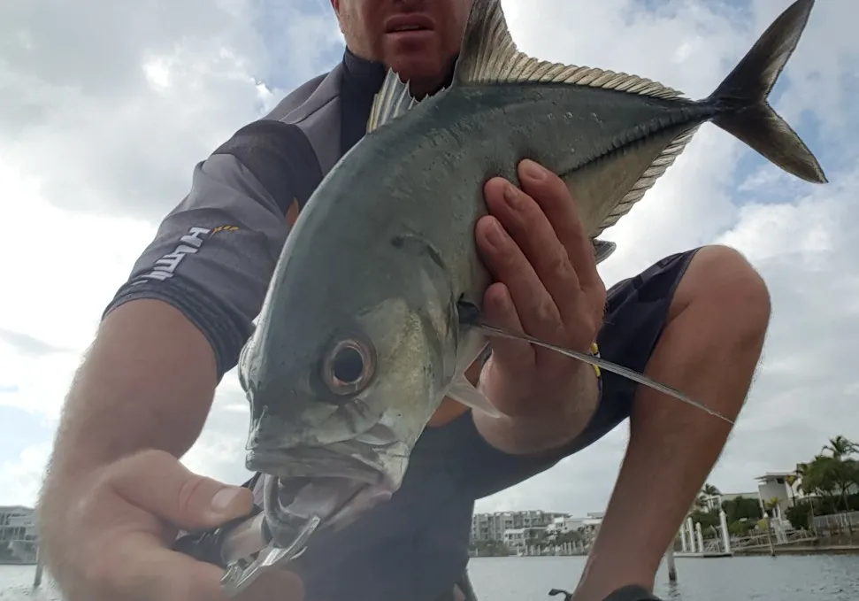 Bigeye trevally