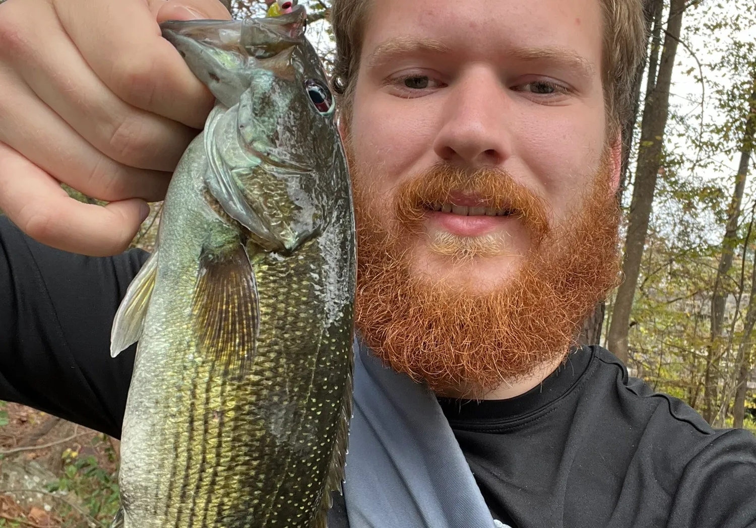 Cahaba Bass