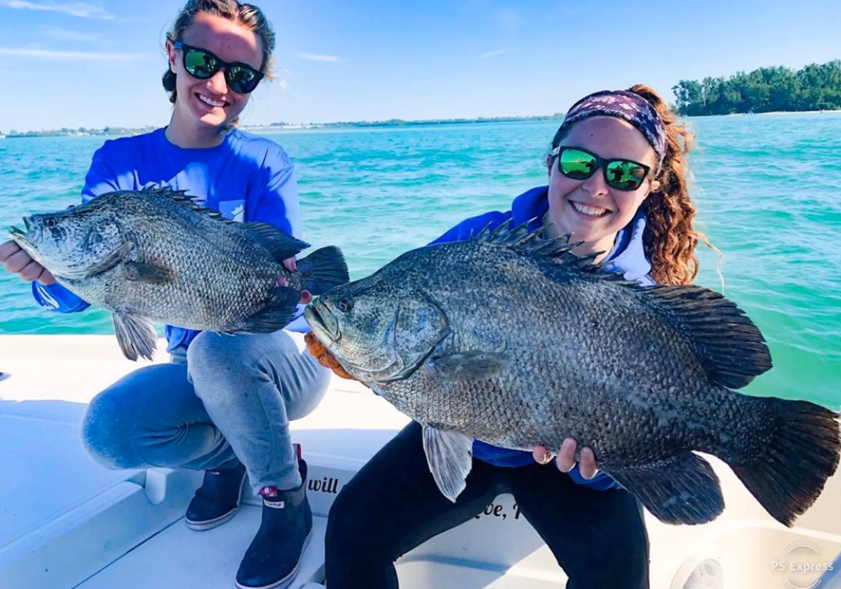 Atlantic tripletail