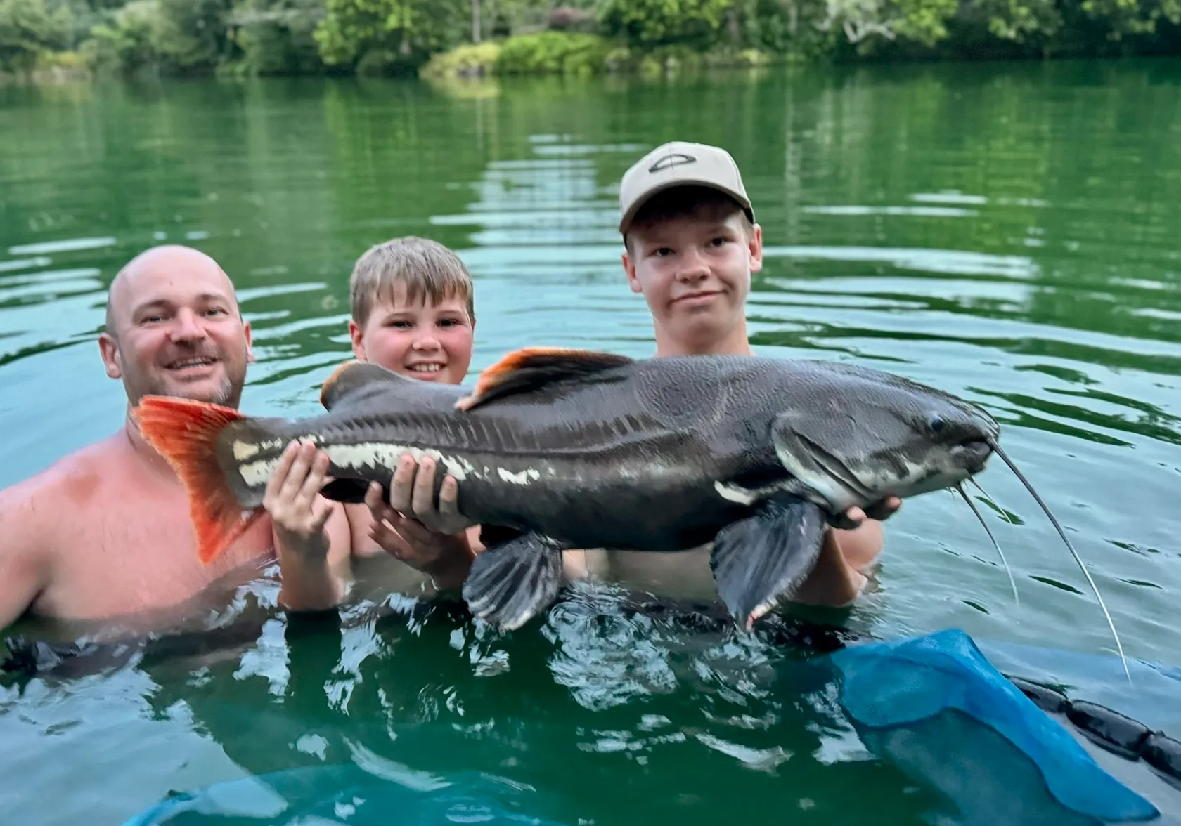 Redtail catfish