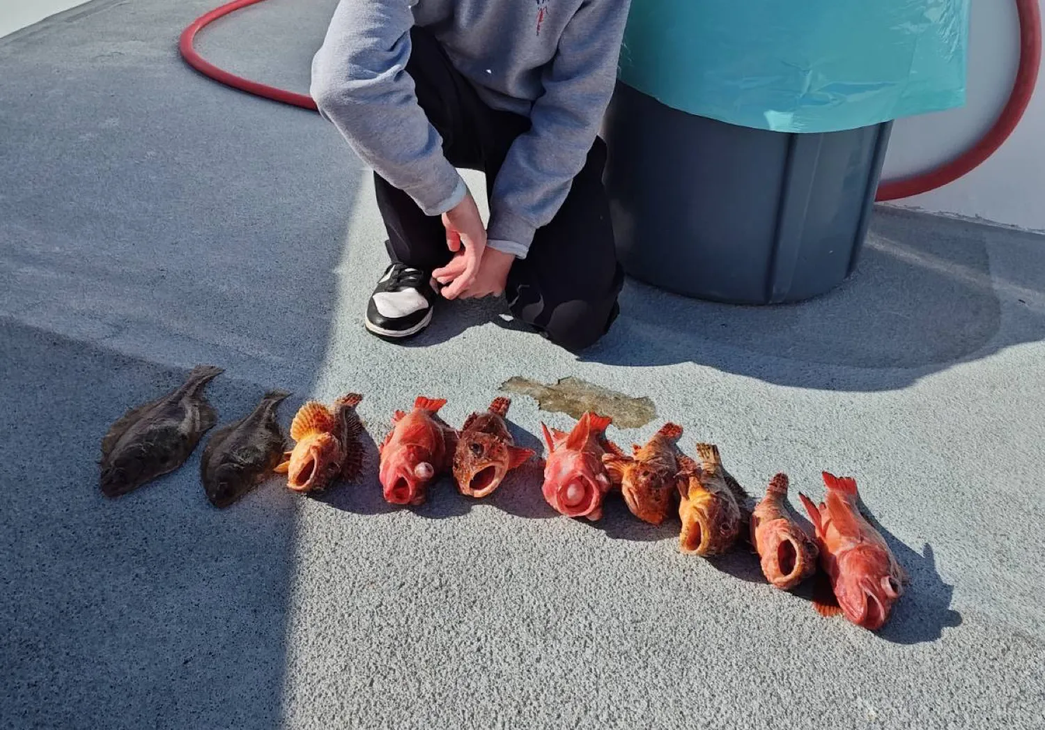 Spinyhead sculpin