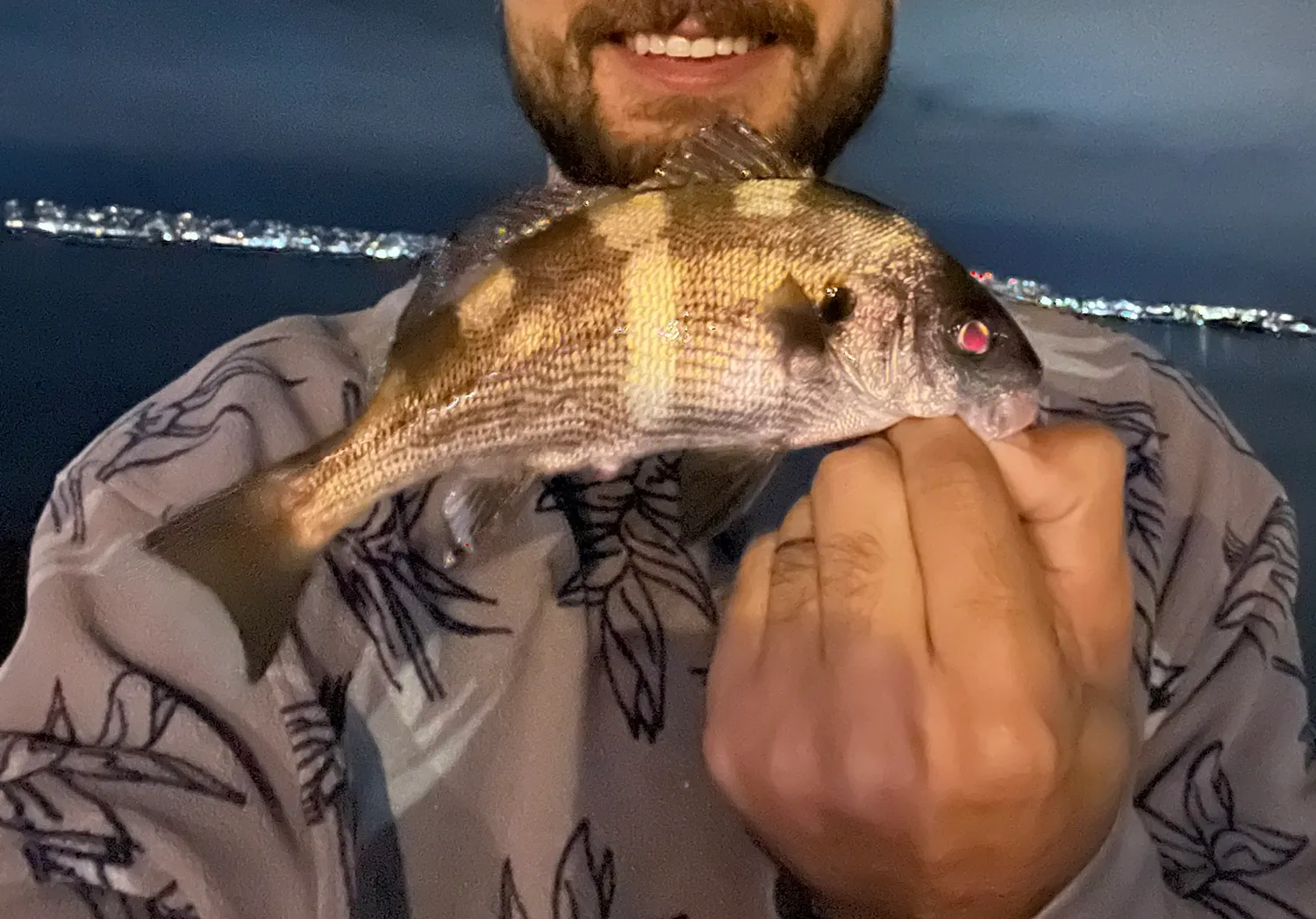 Yellowfin croaker