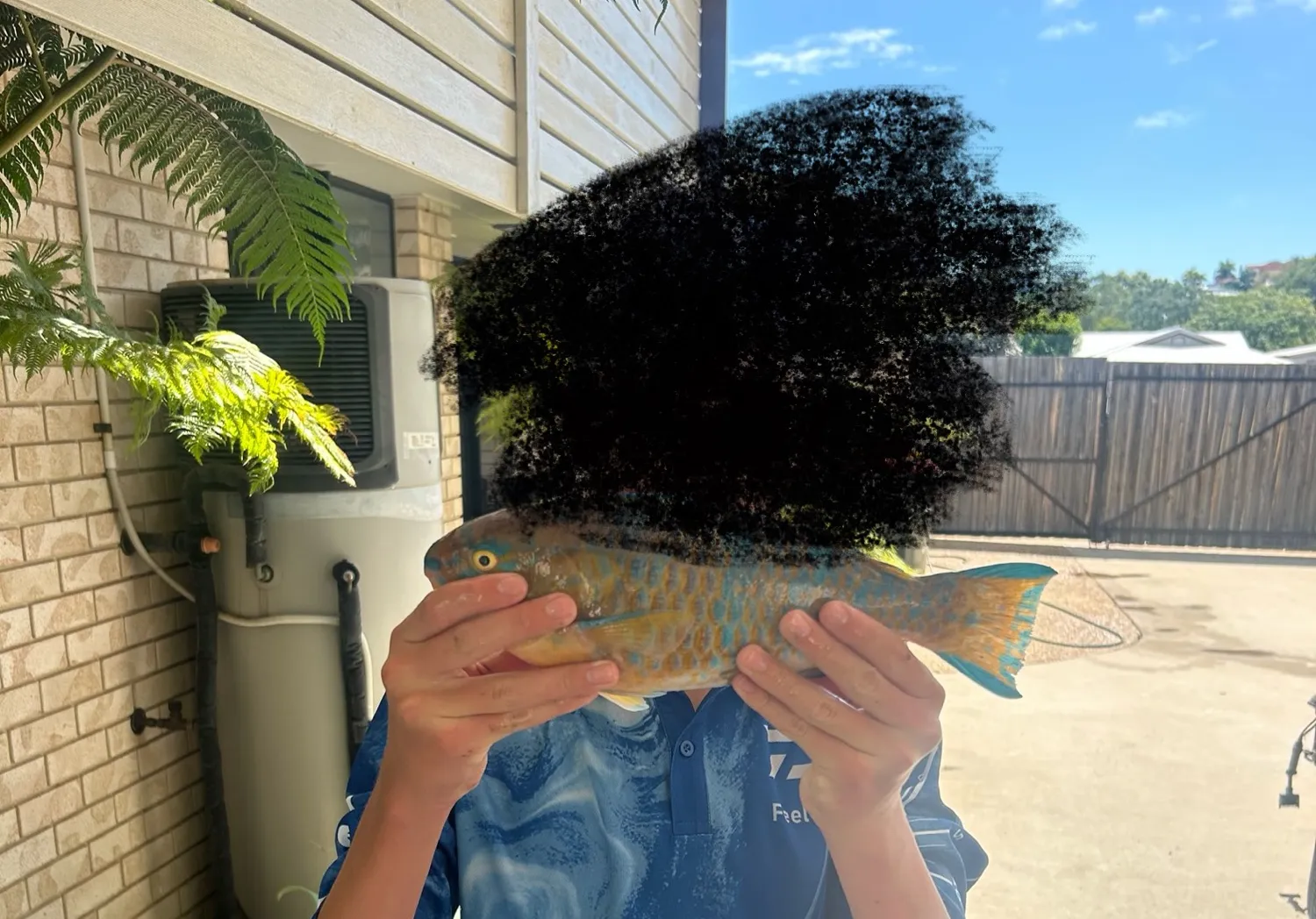 Blue-barred parrotfish