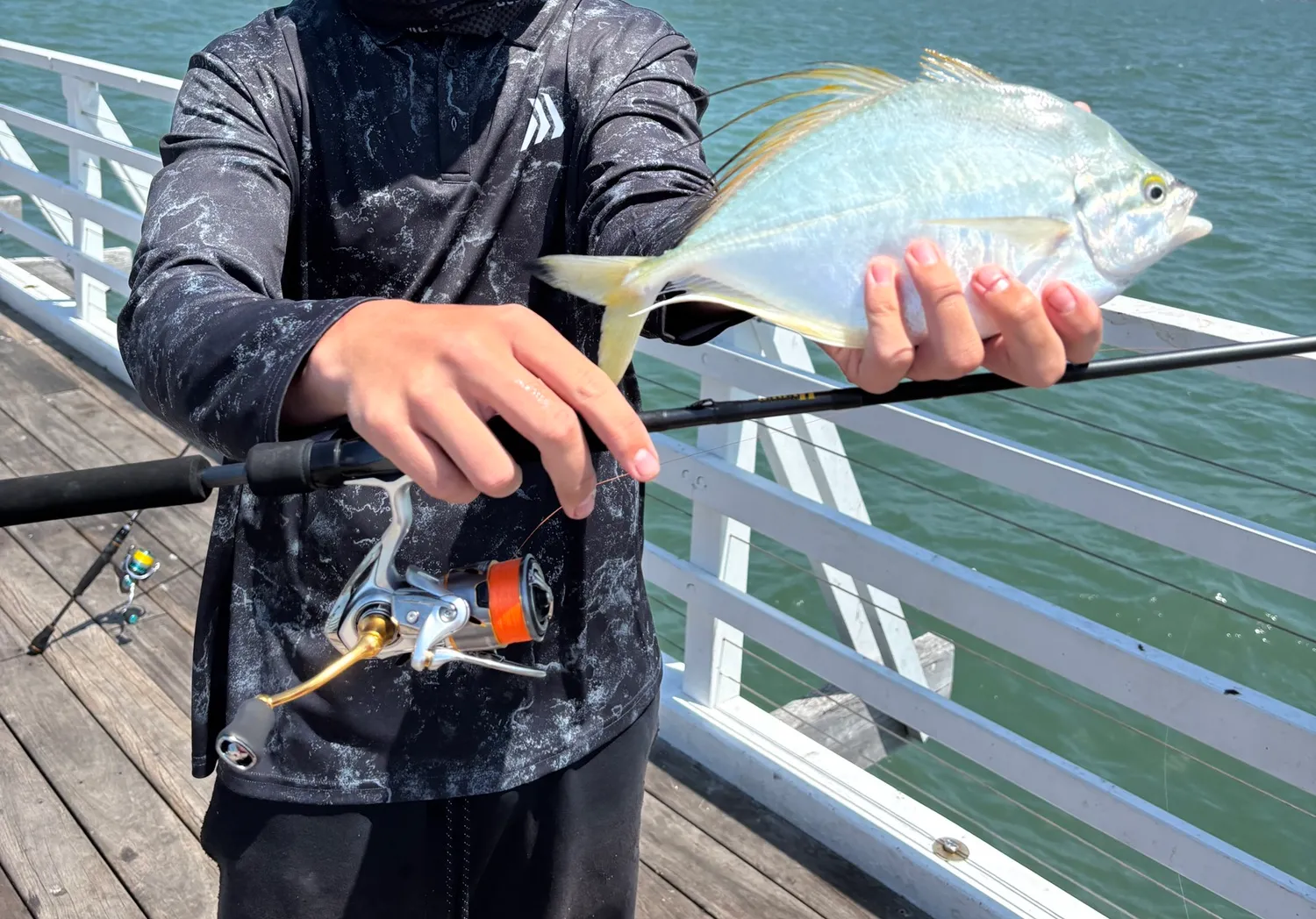 Fringe-finned trevally