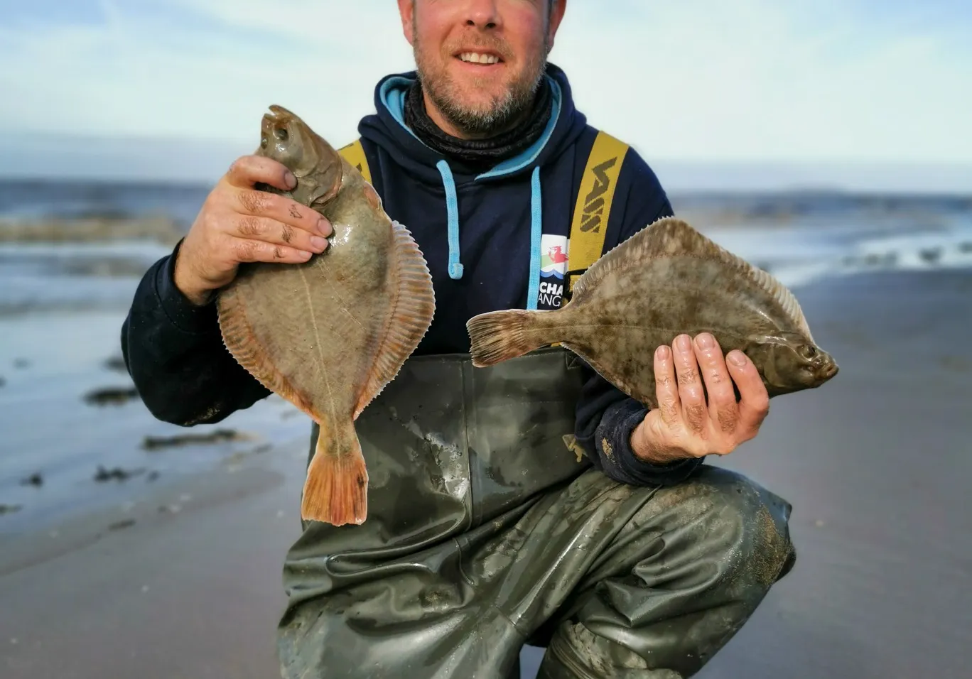 European flounder