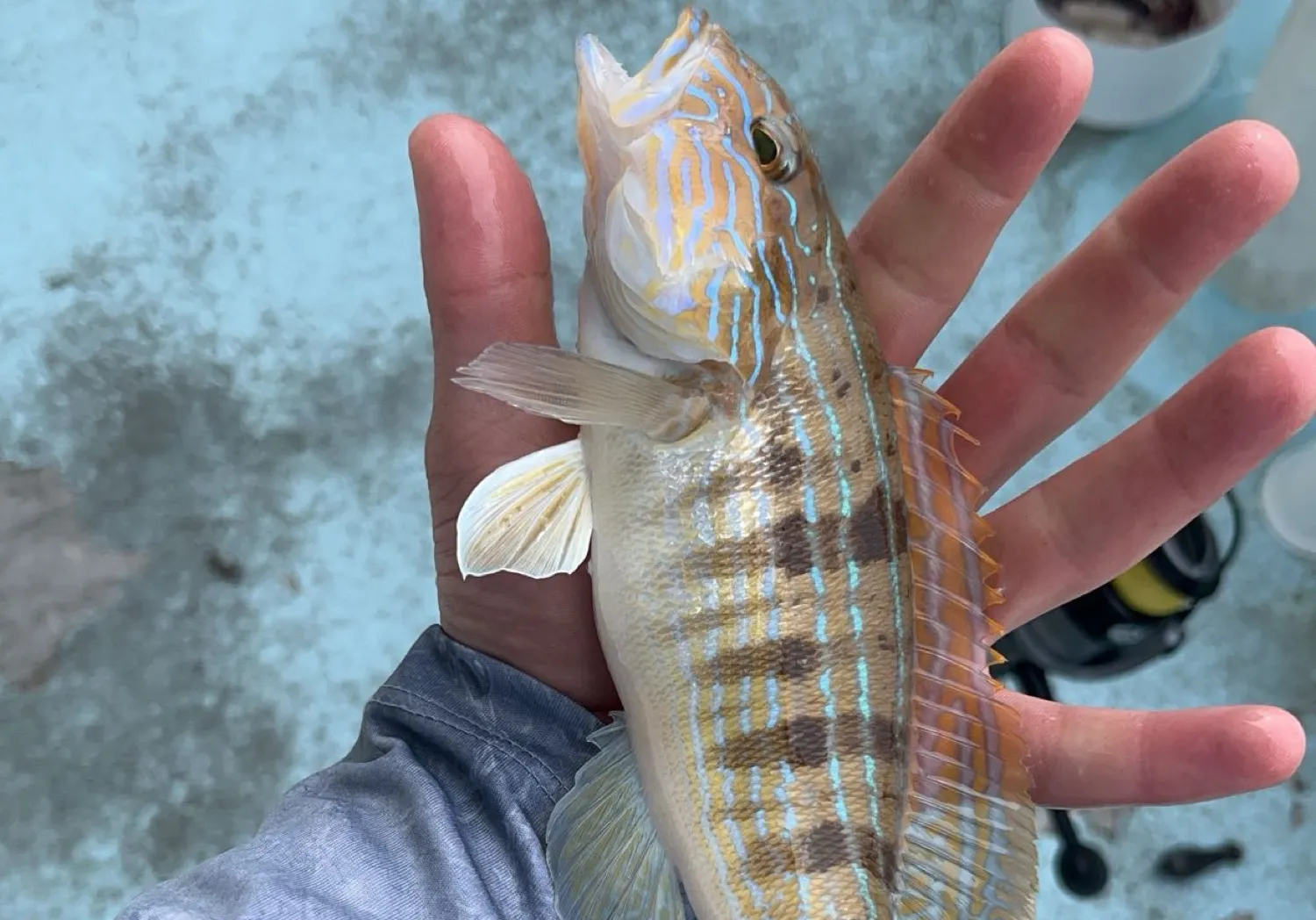 Sand perch