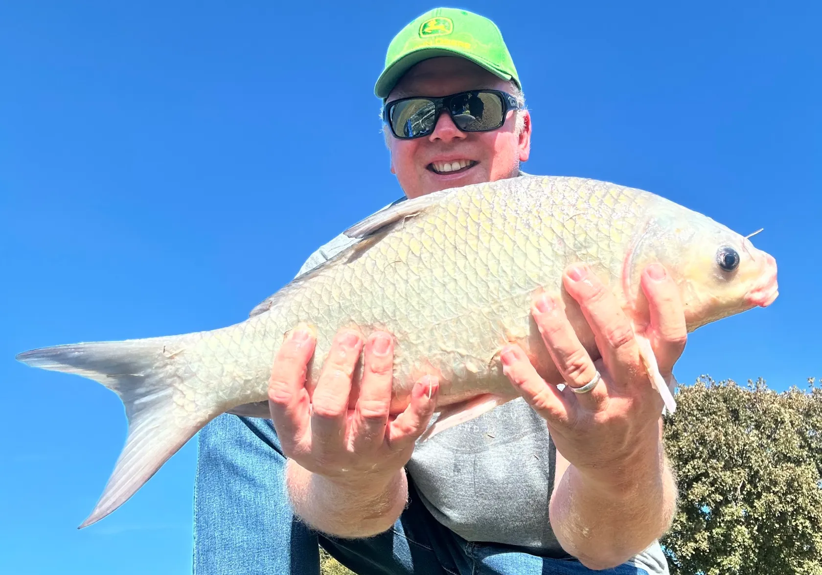 Smallmouth buffalo