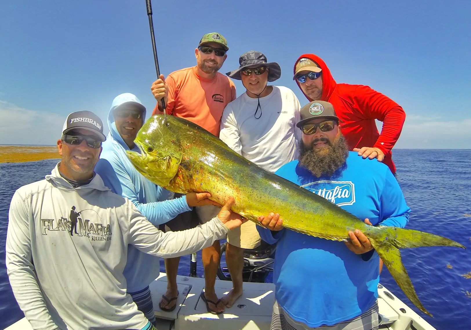 Common dolphinfish