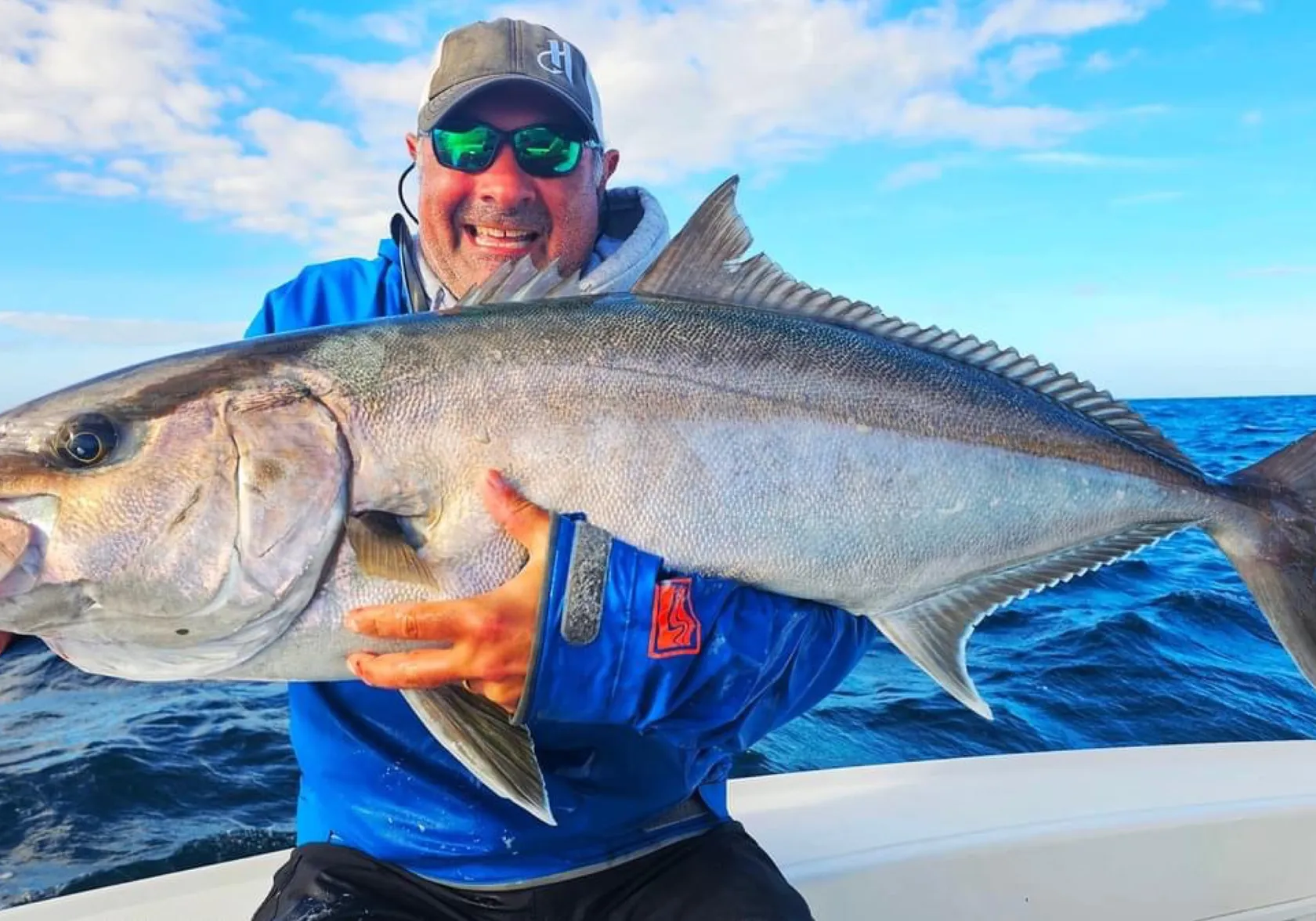 Greater amberjack