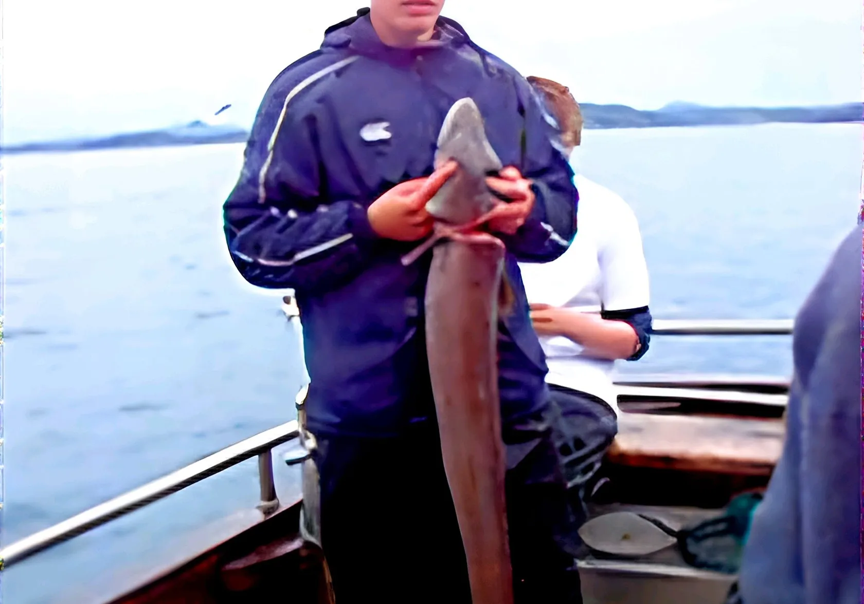 New Zealand longfin eel