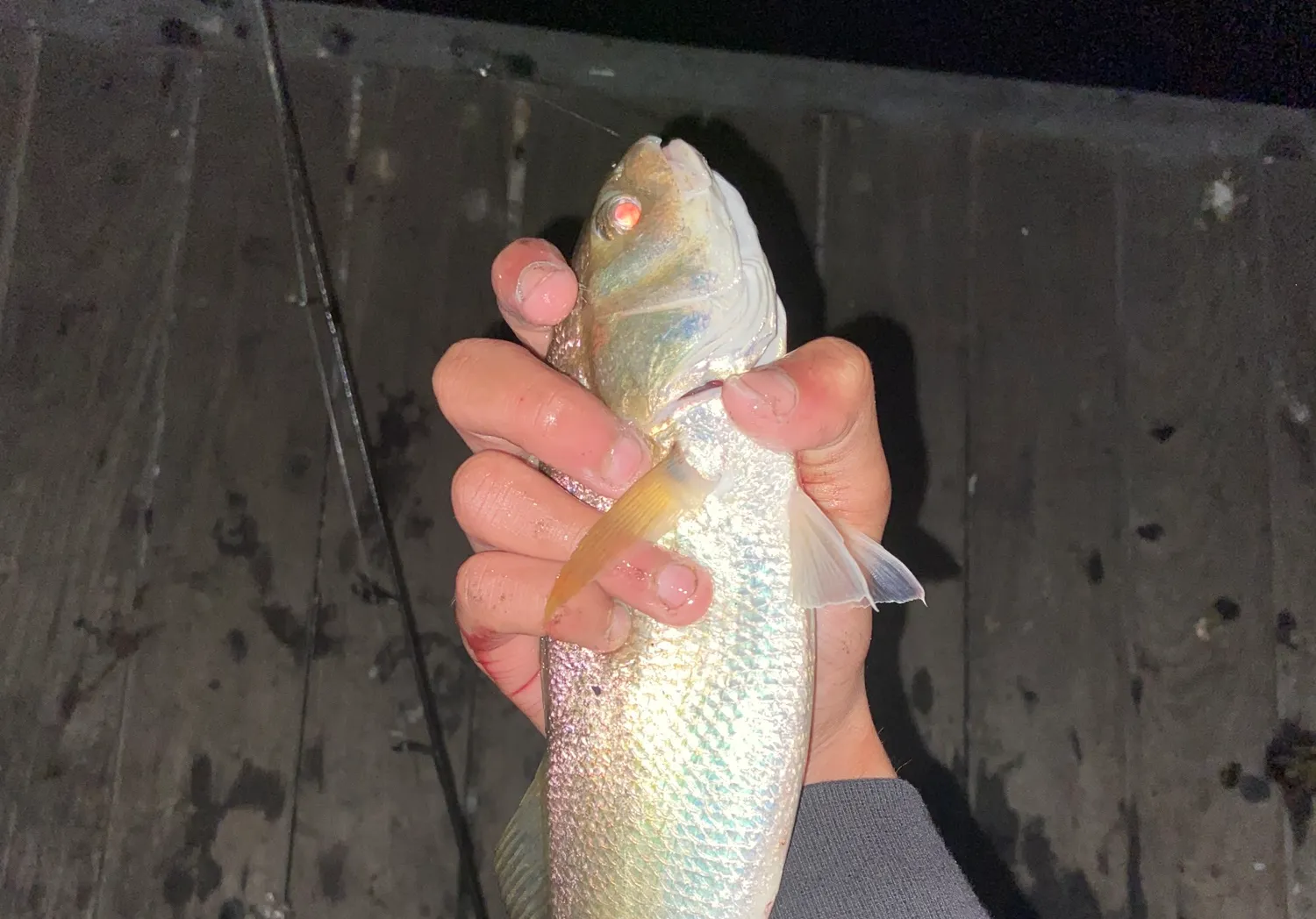 White croaker