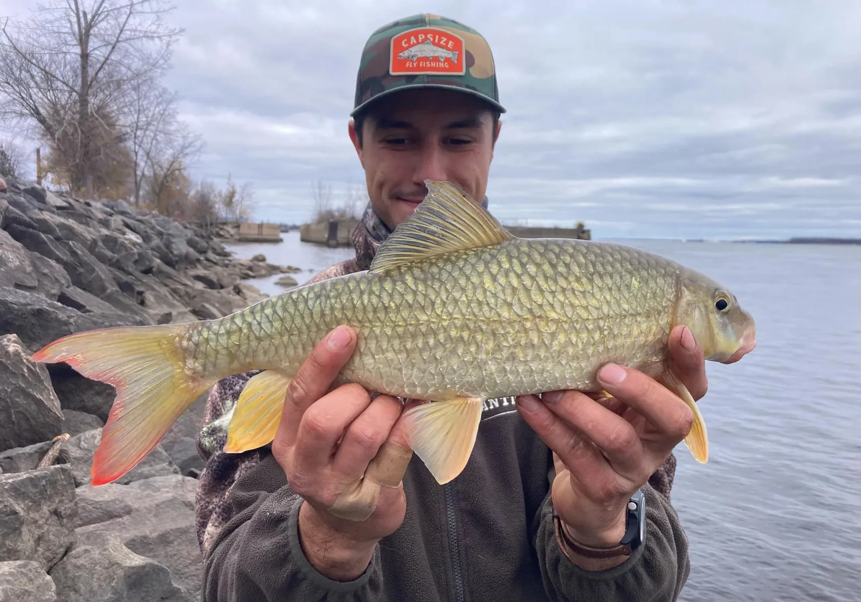 Smallmouth redhorse