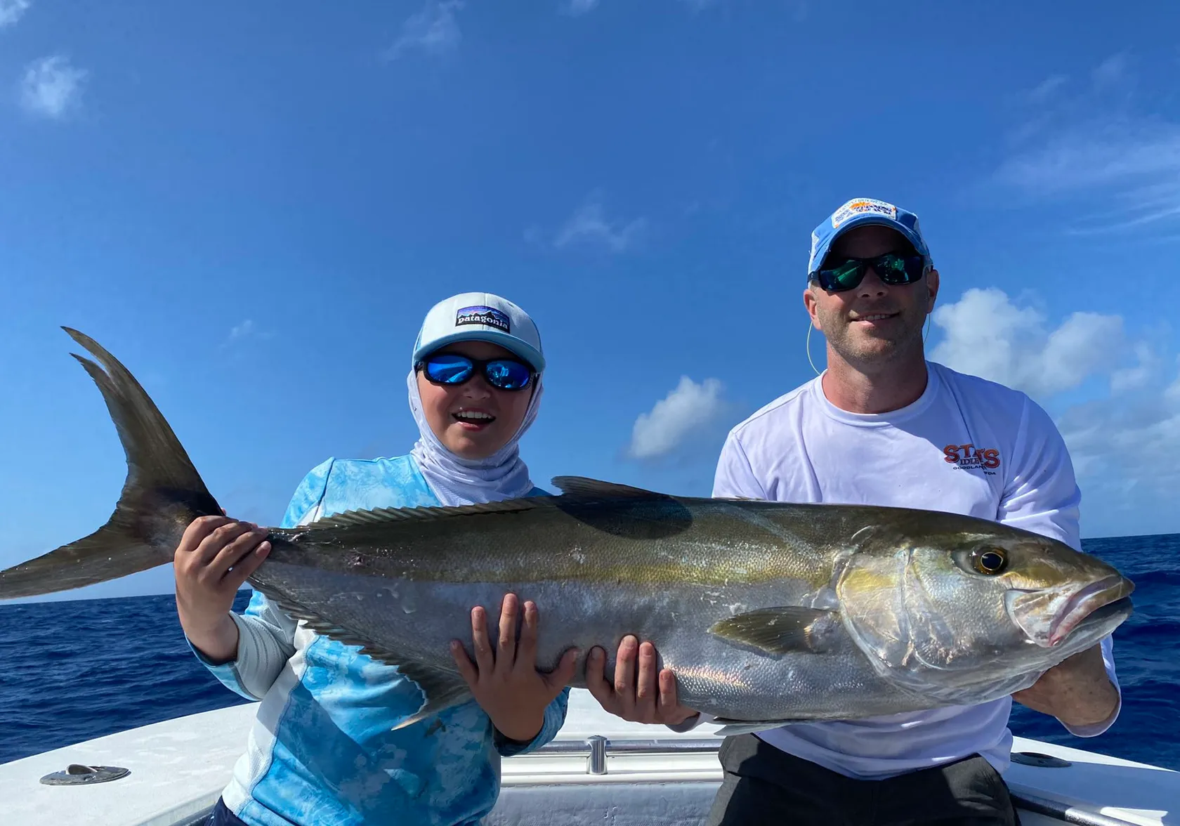 Southern yellowtail amberjack