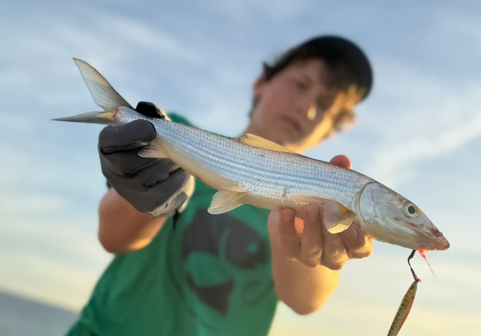 West Atlantic bonefish