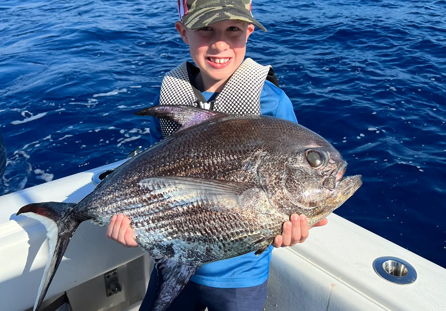 Sickle pomfret