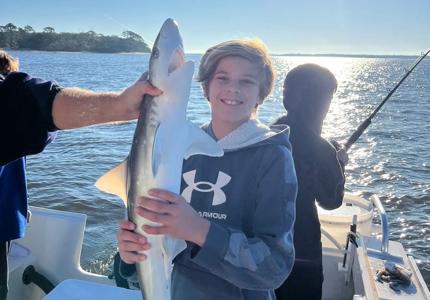 Atlantic sharpnose shark