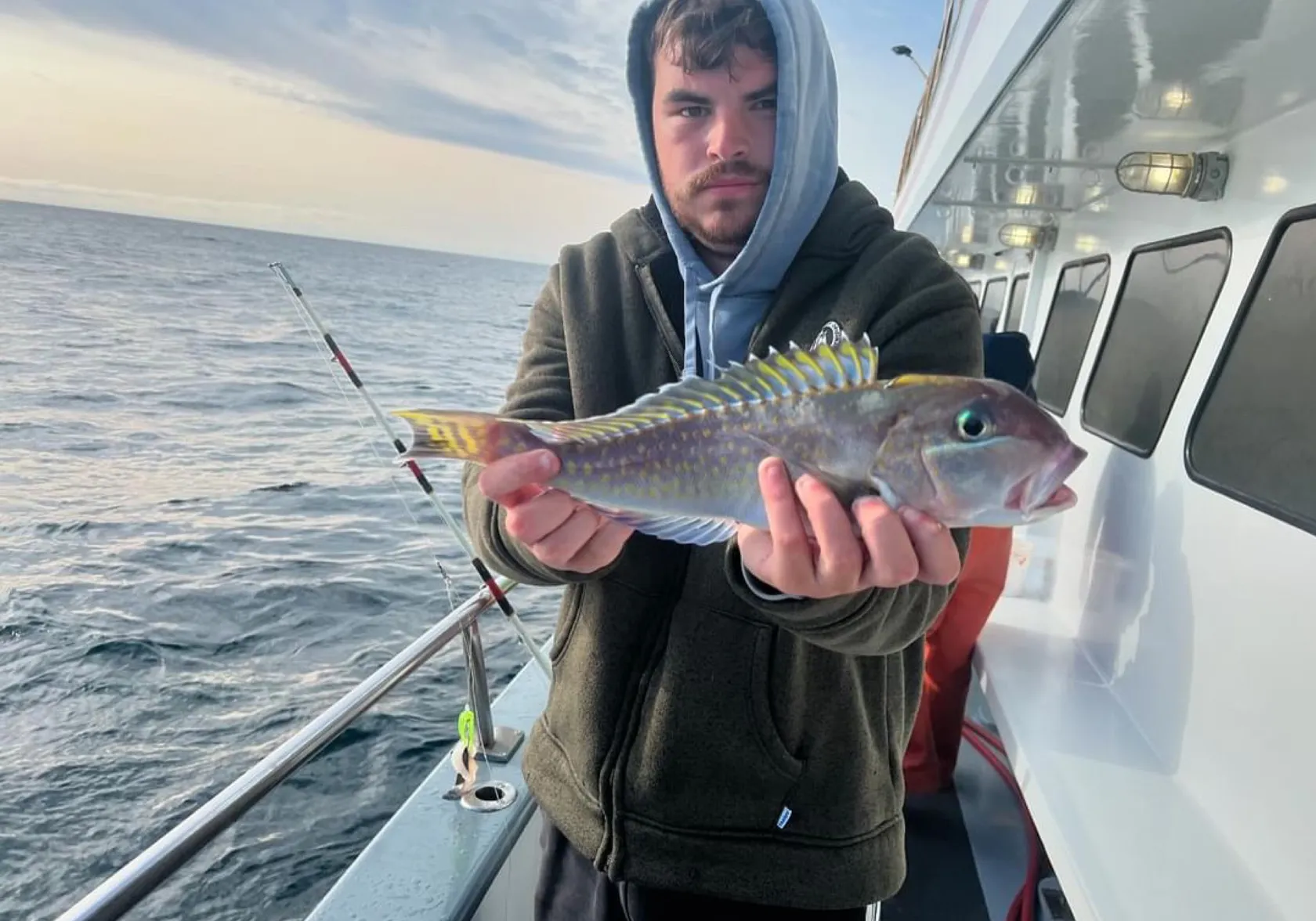 Great northern tilefish