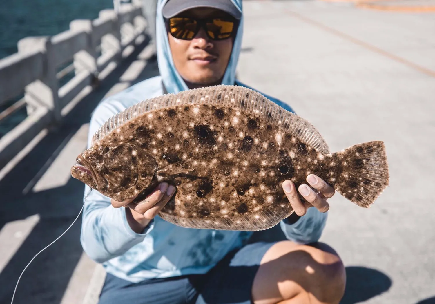 Summer flounder