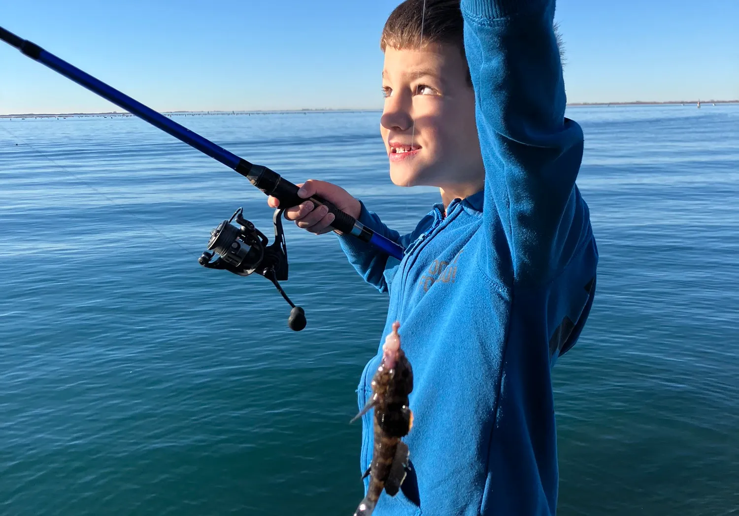 Giant goby