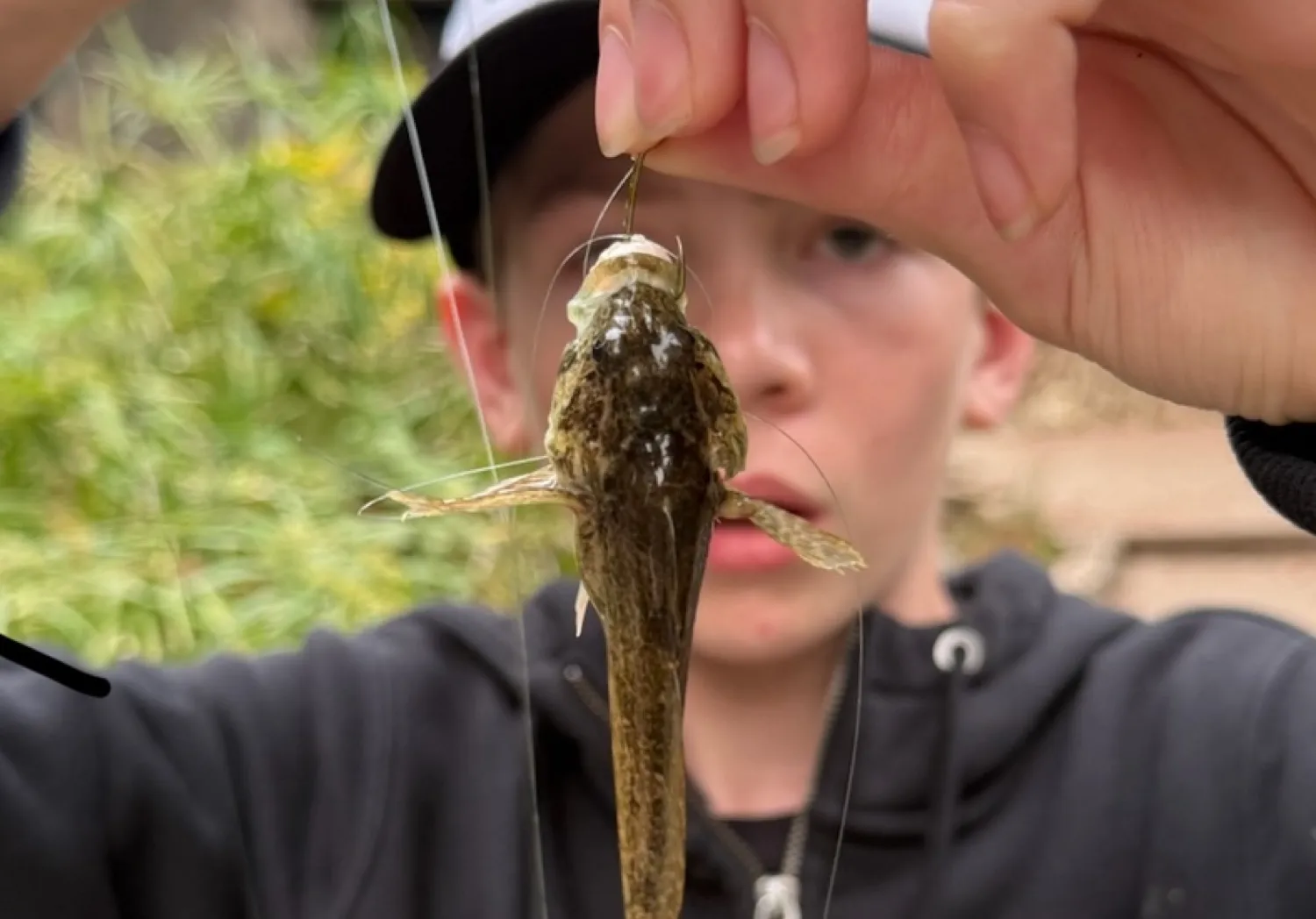 Longspined bullhead