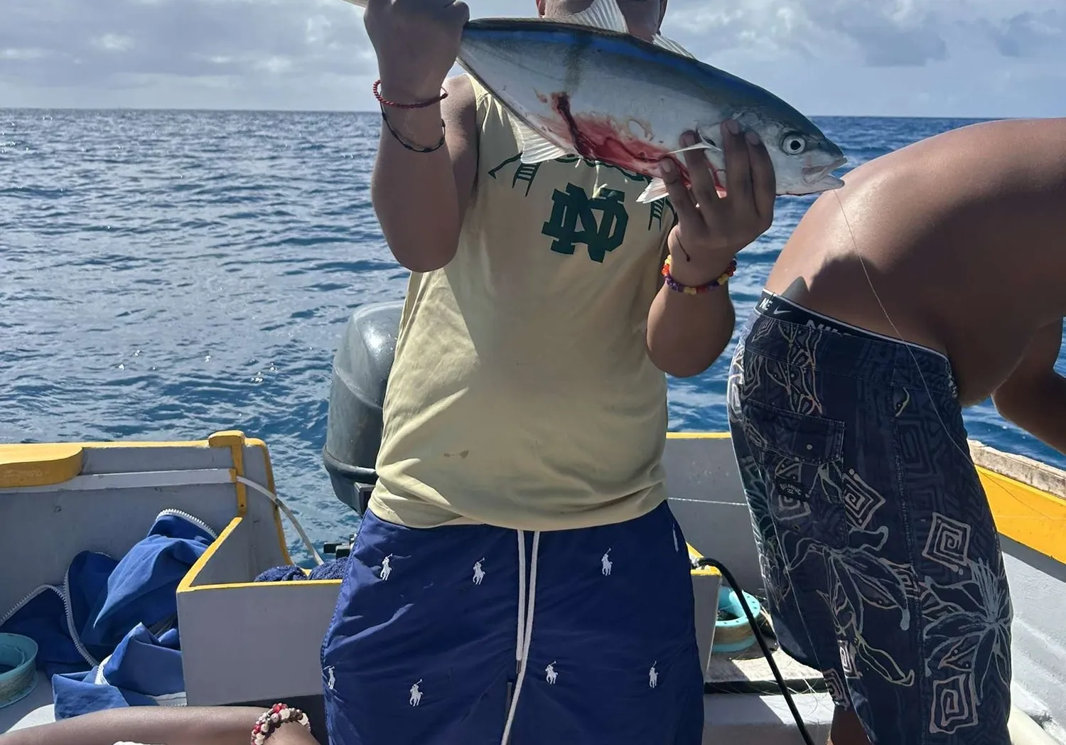 Banded Rudderfish